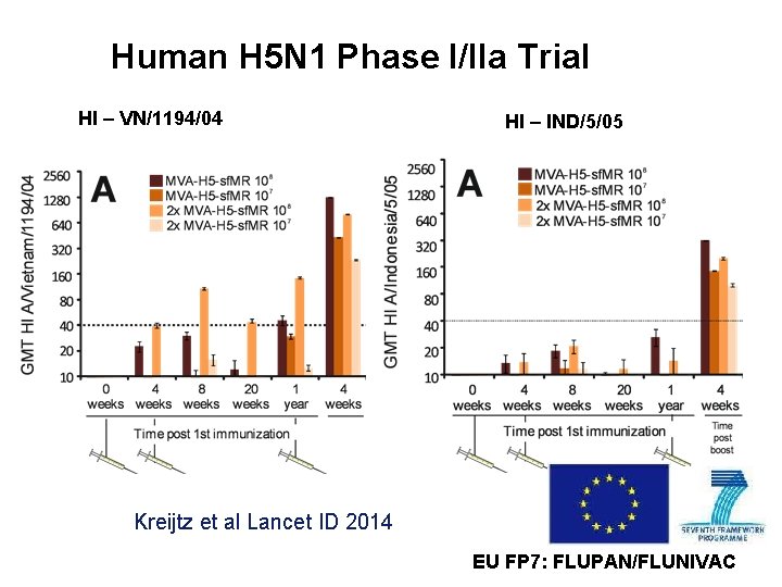 Human H 5 N 1 Phase I/IIa Trial HI – VN/1194/04 HI – IND/5/05