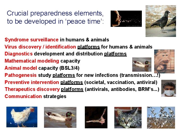 Crucial preparedness elements, to be developed in ‘peace time’: Syndrome surveillance in humans &