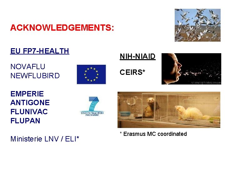 ACKNOWLEDGEMENTS: EU FP 7 -HEALTH NOVAFLU NEWFLUBIRD NIH-NIAID CEIRS* EMPERIE ANTIGONE FLUNIVAC FLUPAN Ministerie
