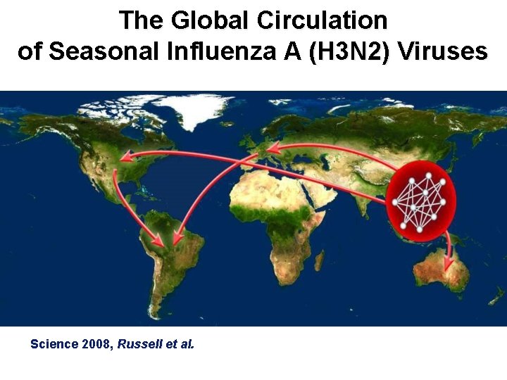 The Global Circulation of Seasonal Influenza A (H 3 N 2) Viruses Science 2008,