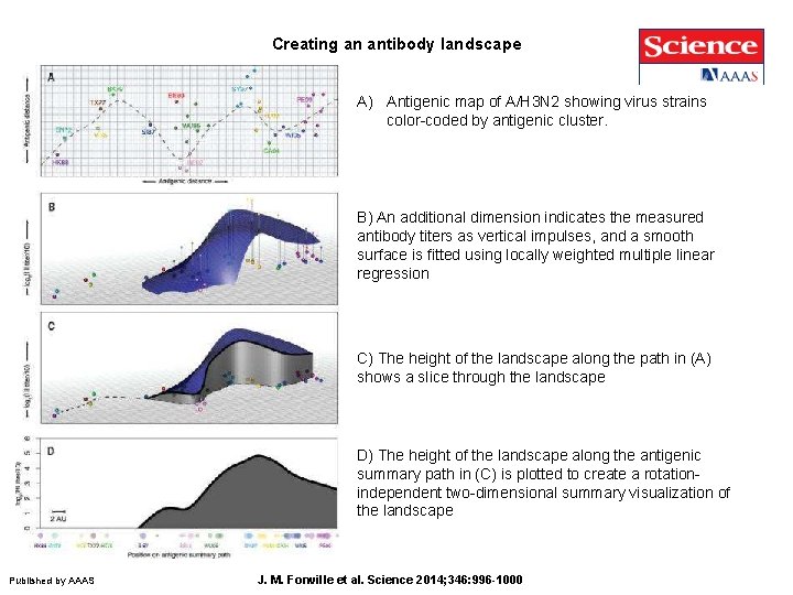 Creating an antibody landscape A) Antigenic map of A/H 3 N 2 showing virus