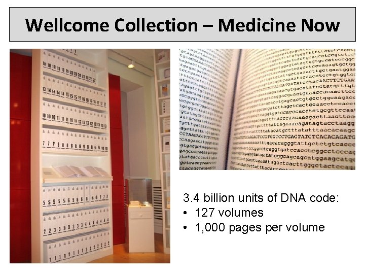 Wellcome Collection – Medicine Now 3. 4 billion units of DNA code: • 127