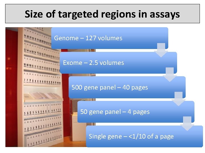 Size of targeted regions in assays Genome – 127 volumes Exome – 2. 5