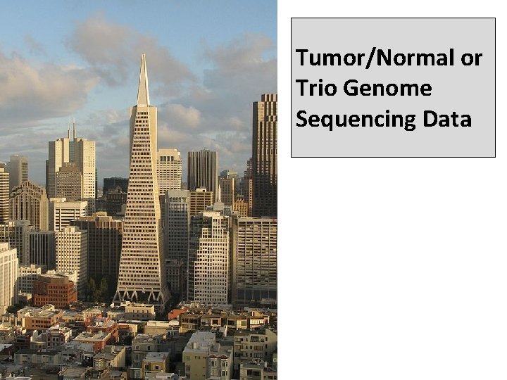 Tumor/Normal or Trio Genome Sequencing Data 