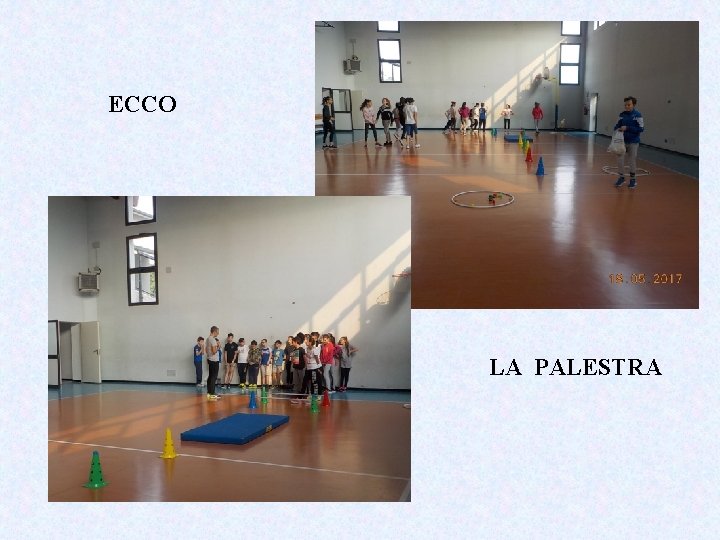 ECCO LA PALESTRA 