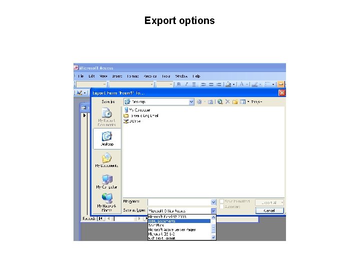 Export options 