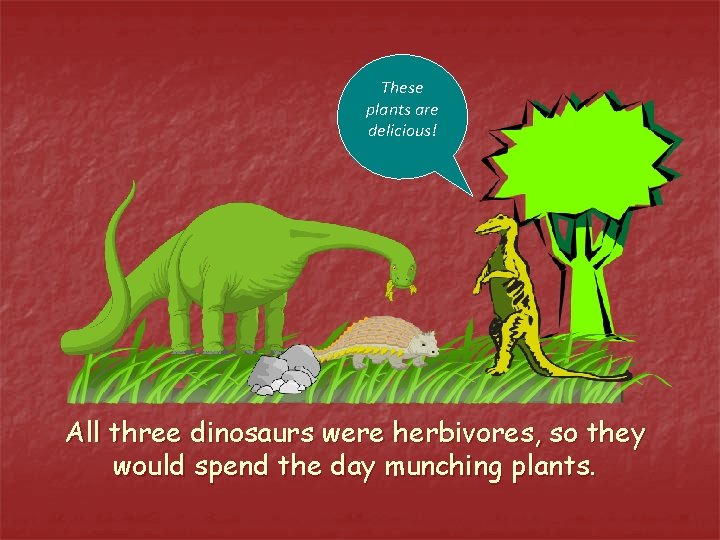 These plants are delicious! All three dinosaurs were herbivores, so they would spend the