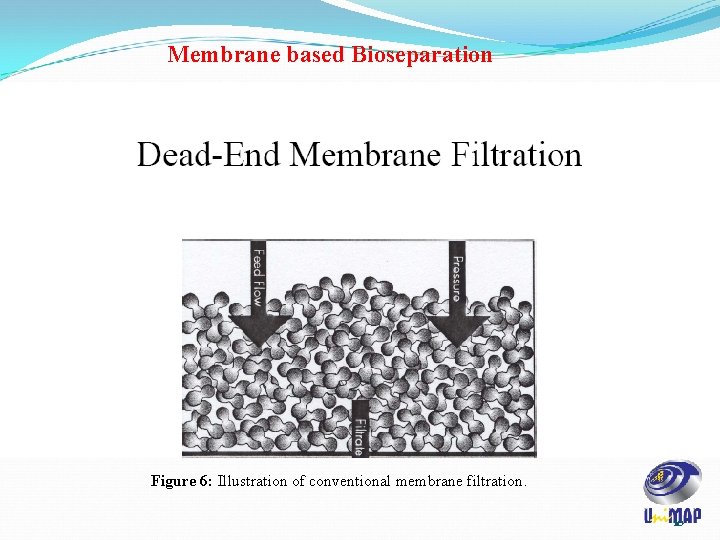 Membrane based Bioseparation Figure 6: Illustration of conventional membrane filtration. 10 