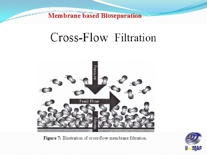 Membrane based Bioseparation Figure 7: Illustration of cross-flow membrane filtration. 11 