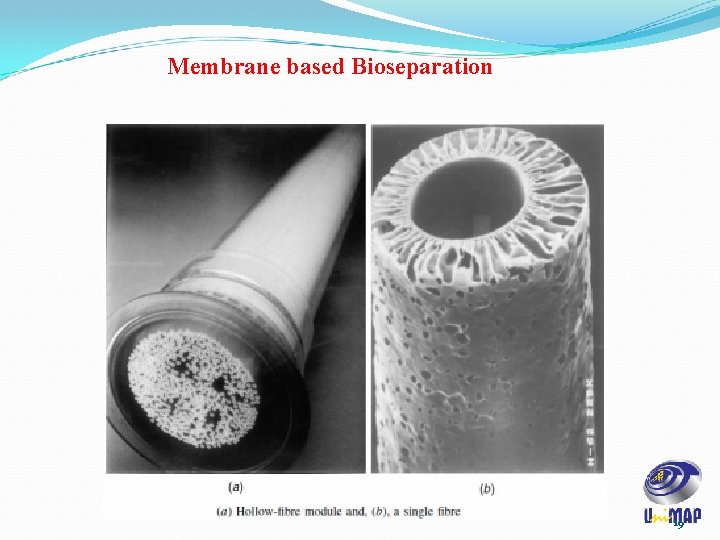 Membrane based Bioseparation 19 Membrane based Bioseparation 19