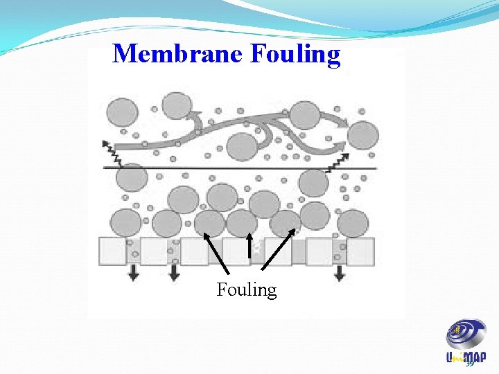 Membrane Fouling 39 Membrane Fouling 39