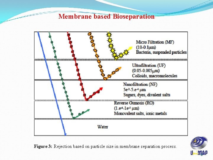 Membrane based Bioseparation Figure 3: Rejection based on particle size in membrane separation process.