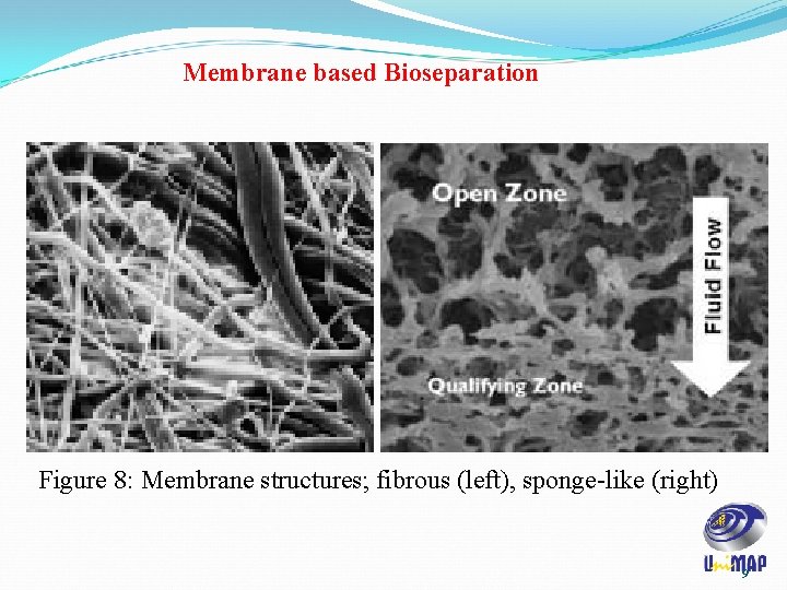 Membrane based Bioseparation Figure 8: Membrane structures; fibrous (left), sponge-like (right) 9 