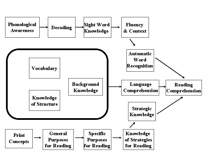 Phonological Awareness Decoding Sight Word Knowledge Automatic Word Recognition Vocabulary Background Knowledge of Structure