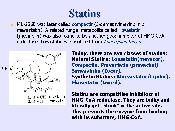 Statins n ML-236 B was later called compactin(6 -demethylmevinolin or mevastatin). A related fungal