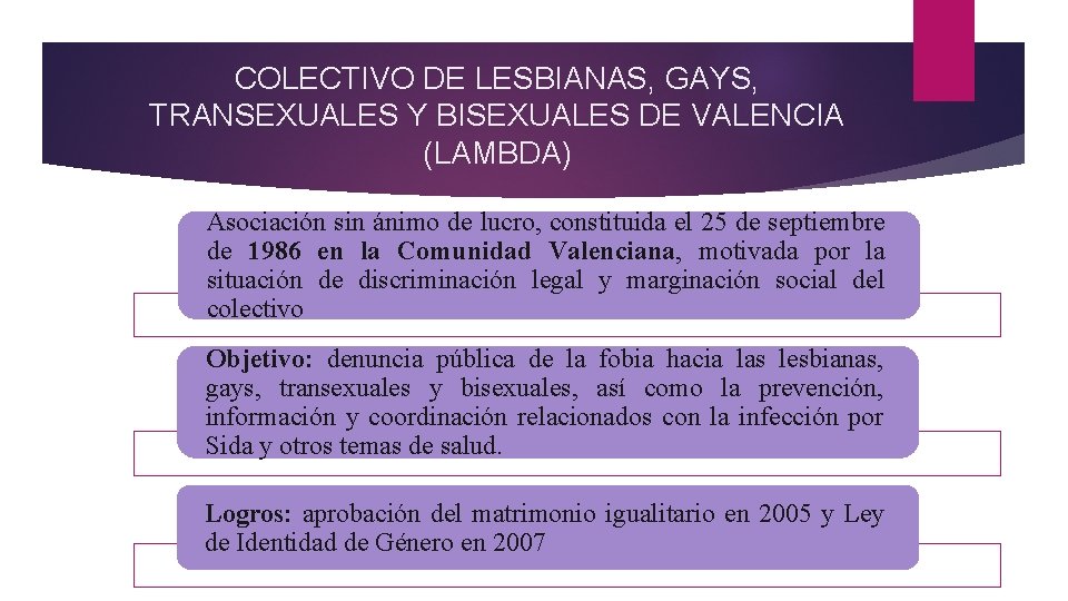 COLECTIVO DE LESBIANAS, GAYS, TRANSEXUALES Y BISEXUALES DE VALENCIA (LAMBDA) Asociación sin ánimo de