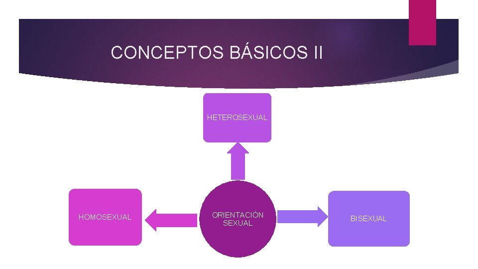 CONCEPTOS BÁSICOS II HETEROSEXUAL HOMOSEXUAL ORIENTACIÓN SEXUAL BISEXUAL 