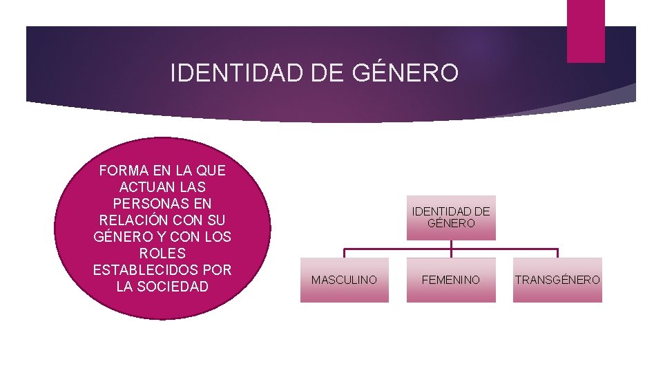 IDENTIDAD DE GÉNERO FORMA EN LA QUE ACTUAN LAS PERSONAS EN RELACIÓN CON SU