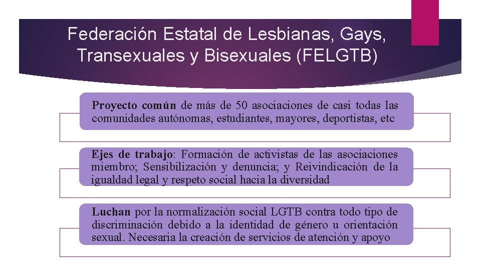 Federación Estatal de Lesbianas, Gays, Transexuales y Bisexuales (FELGTB) Proyecto común de más de