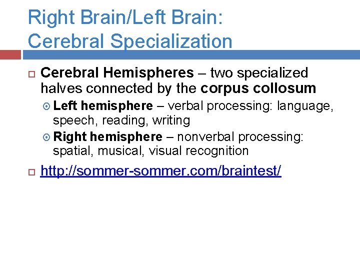 Right Brain/Left Brain: Cerebral Specialization Cerebral Hemispheres – two specialized halves connected by the