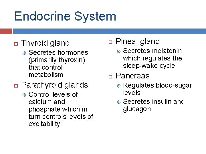 Endocrine System Thyroid gland Secretes hormones (primarily thyroxin) that control metabolism Parathyroid glands Control