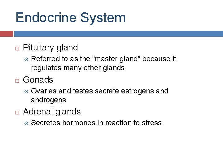 Endocrine System Pituitary gland Gonads Referred to as the “master gland” because it regulates