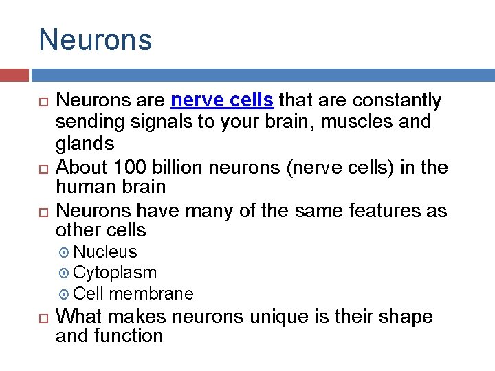 Neurons Neurons are nerve cells that are constantly sending signals to your brain, muscles