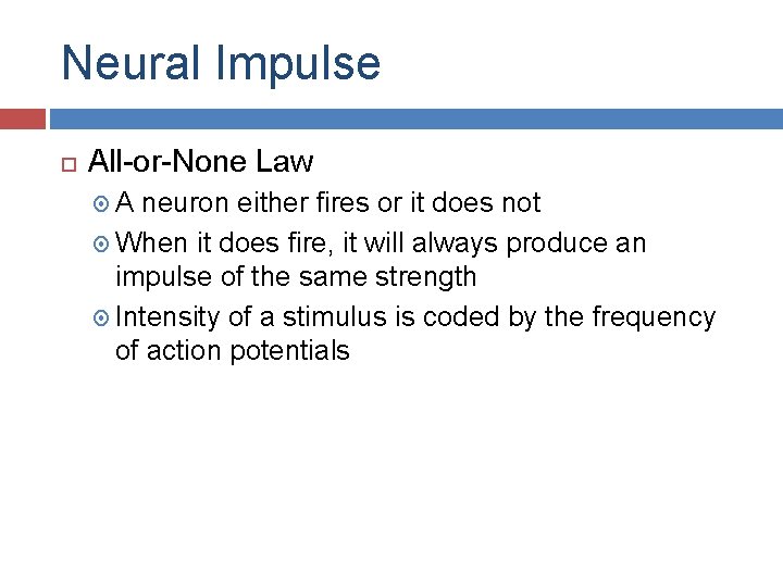 Neural Impulse All-or-None Law A neuron either fires or it does not When it