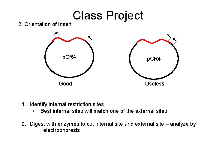 2. Orientation of Insert Class Project p. CR 4 Good p. CR 4 Useless
