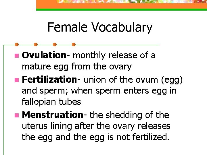 Female Vocabulary Ovulation- monthly release of a mature egg from the ovary n Fertilization-