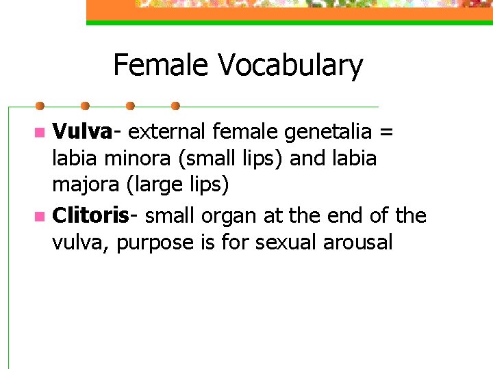 Female Vocabulary Vulva- external female genetalia = labia minora (small lips) and labia majora