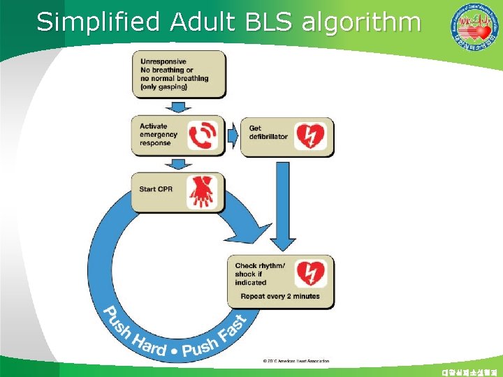 Simplified Adult BLS algorithm 대한심폐소생협회 