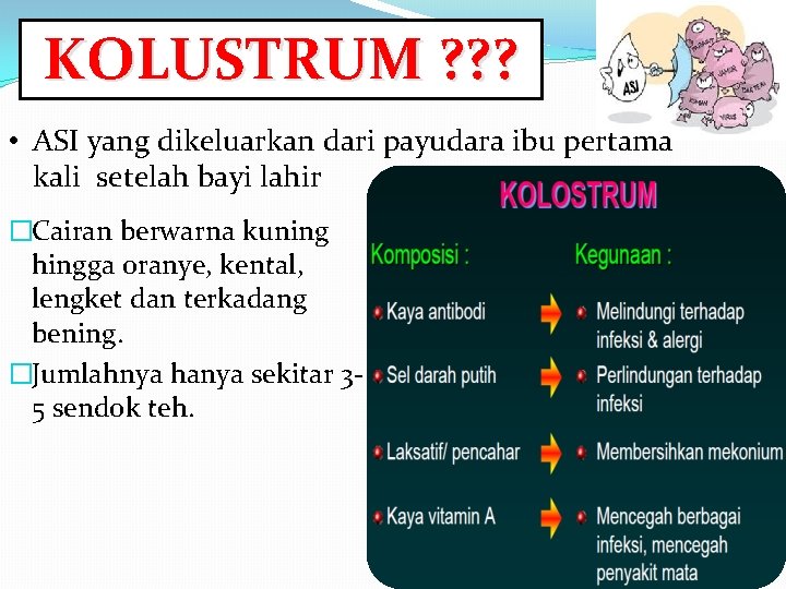 KOLUSTRUM ? ? ? • ASI yang dikeluarkan dari payudara ibu pertama kali setelah