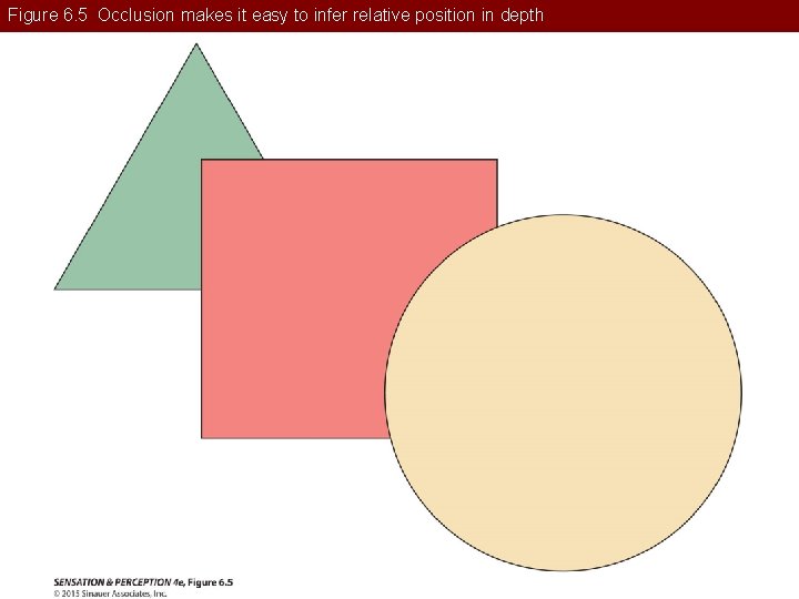 Figure 6. 5 Occlusion makes it easy to infer relative position in depth 