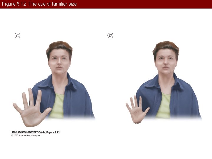 Figure 6. 12 The cue of familiar size 