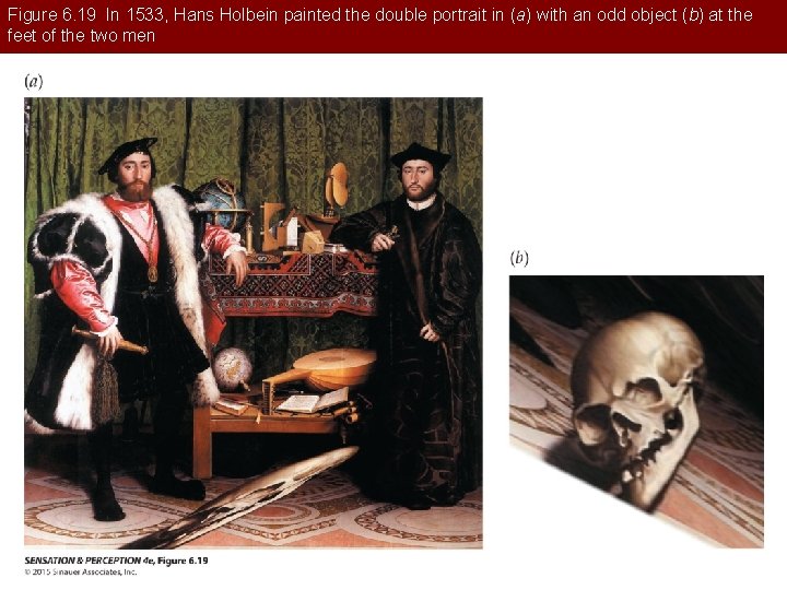 Figure 6. 19 In 1533, Hans Holbein painted the double portrait in (a) with