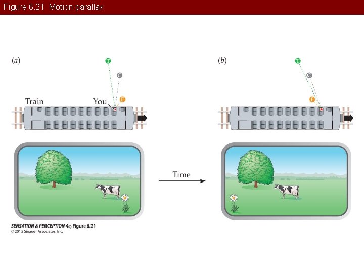 Figure 6. 21 Motion parallax 