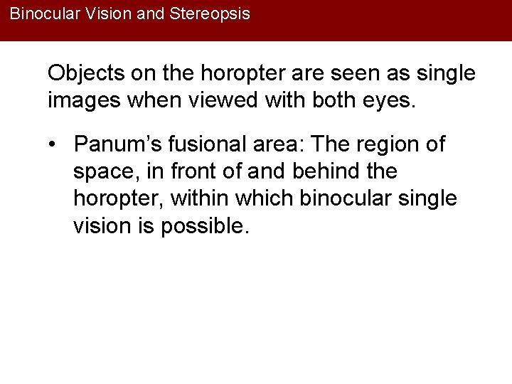 Binocular Vision and Stereopsis Objects on the horopter are seen as single images when