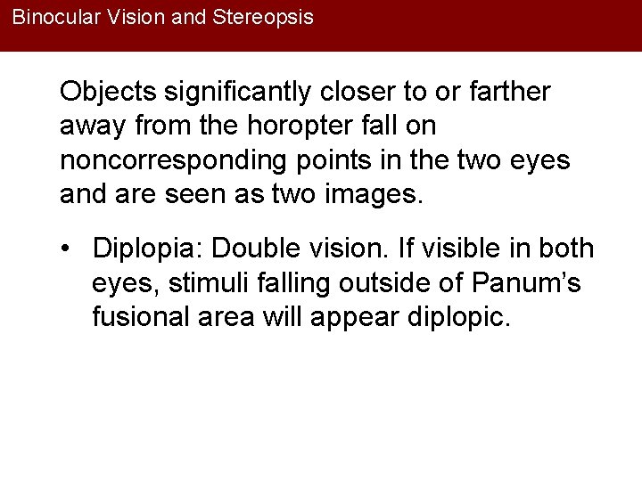 Binocular Vision and Stereopsis Objects significantly closer to or farther away from the horopter