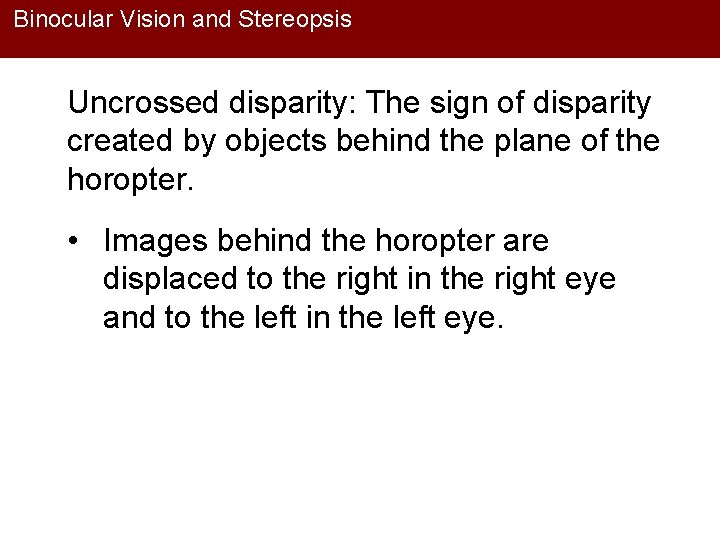 Binocular Vision and Stereopsis Uncrossed disparity: The sign of disparity created by objects behind