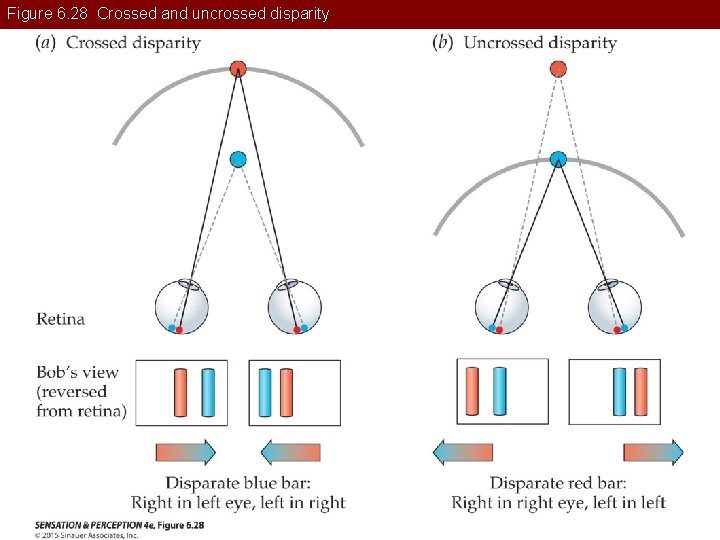 Figure 6. 28 Crossed and uncrossed disparity 