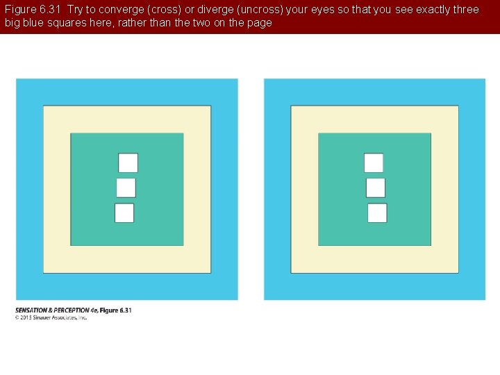 Figure 6. 31 Try to converge (cross) or diverge (uncross) your eyes so that