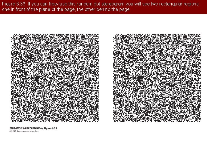 Figure 6. 33 If you can free-fuse this random dot stereogram you will see