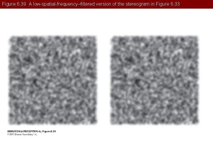 Figure 6. 39 A low-spatial-frequency–filtered version of the stereogram in Figure 6. 33 