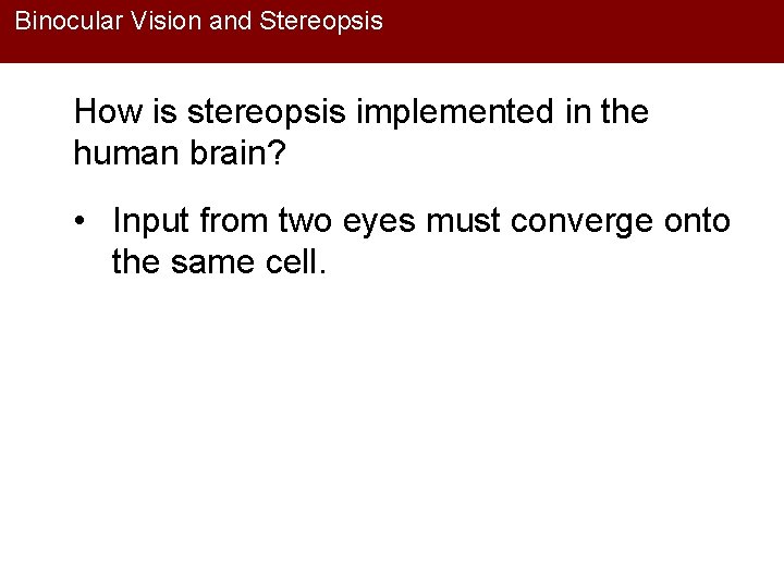 Binocular Vision and Stereopsis How is stereopsis implemented in the human brain? • Input