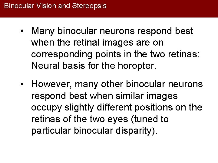 Binocular Vision and Stereopsis • Many binocular neurons respond best when the retinal images