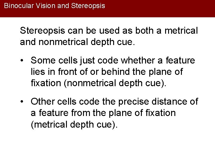 Binocular Vision and Stereopsis can be used as both a metrical and nonmetrical depth