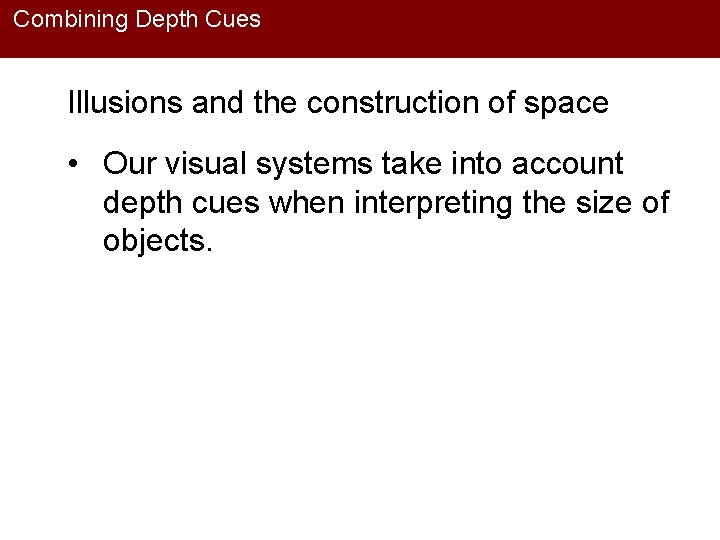 Combining Depth Cues Illusions and the construction of space • Our visual systems take