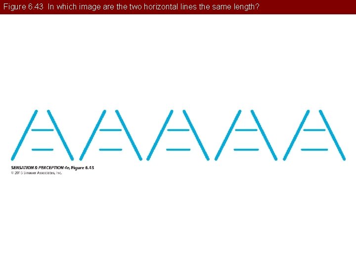 Figure 6. 43 In which image are the two horizontal lines the same length?