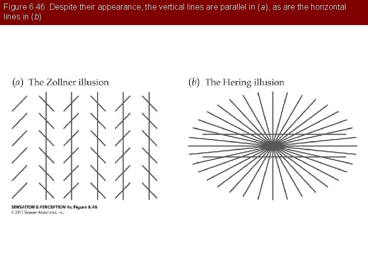 Figure 6. 46 Despite their appearance, the vertical lines are parallel in (a), as